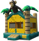 MONITO DE  LA SELVA