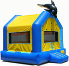 BRINCOLIN DE DELFIN