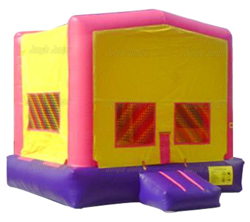 YELLOW & PURPLE MODULE JUMPER