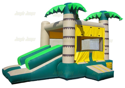 PALM JUMP AND SLIDE
