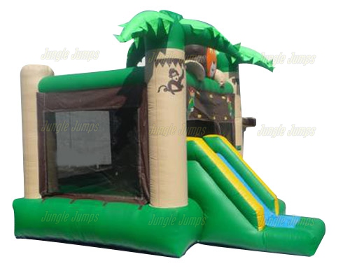 LION BOUNCE HOUSE COMBO