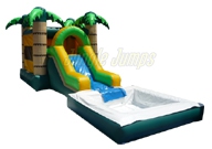 PALM HOUSE COMBO WITH POOL