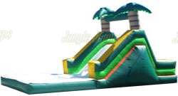 BACK LOAD TROPICAL SLIDE 1