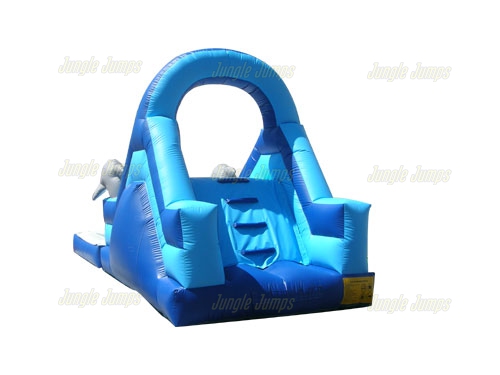 OCEAN SLIDE WITH POOL
