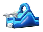 OCEAN SLIDE