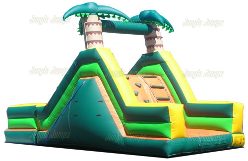 MINI TROPICAL SLIDE