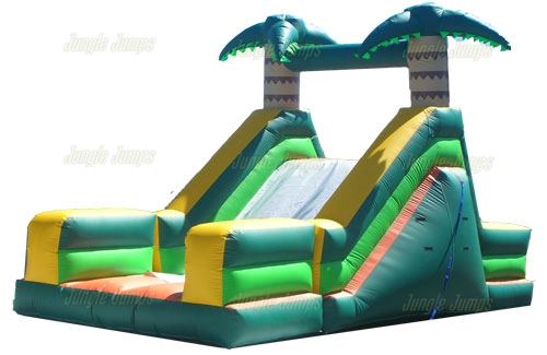MINI TROPICAL SLIDE
