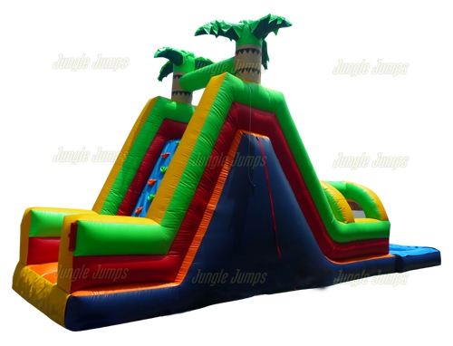 FUN SLIDE WITH POOL II