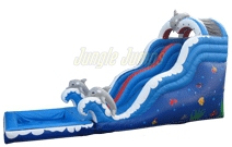 18' DOLPHIN WET & DRY SLIDE