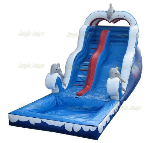 18' DOLPHIN WET & DRY SLIDE