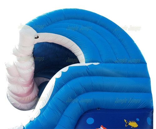 20' WAVE SLIDE WITH POOL