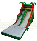 18'' PALM SLIDE