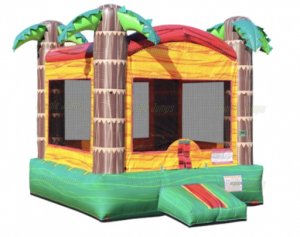 Tropical Paradise Bouncer - Jungle Jumps