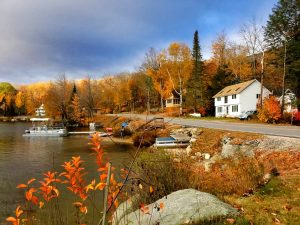 Best bounce house for sale in New Hampshire - Jungle Jumps