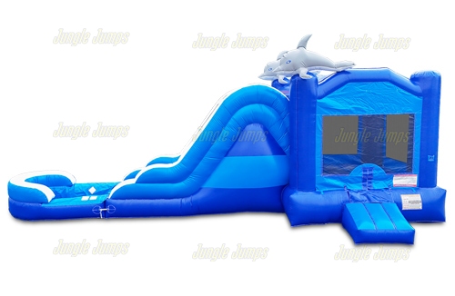 Combo De agua de Delfines
