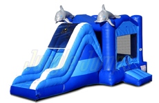 Combo Inflable de Delfines