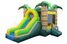 Inflatable Palm House Combo CO-1009 image 1
