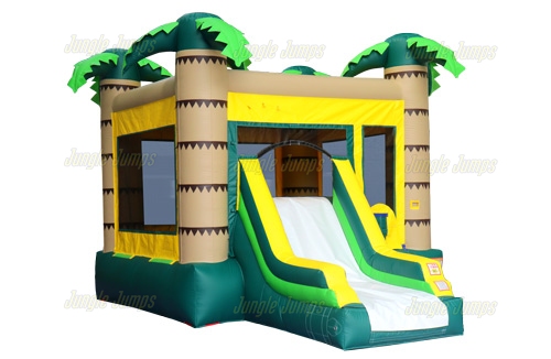 Inflatable Palm Slide Combo