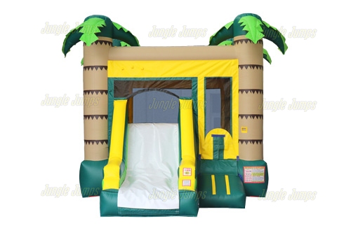 Inflatable Palm Slide Combo