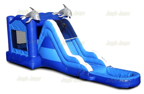Wet/Dry Dolphin Combo