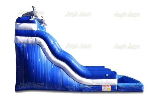 Dolphin Water Slide