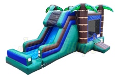 Inflatable Palm House Combo CO-1009 image 1