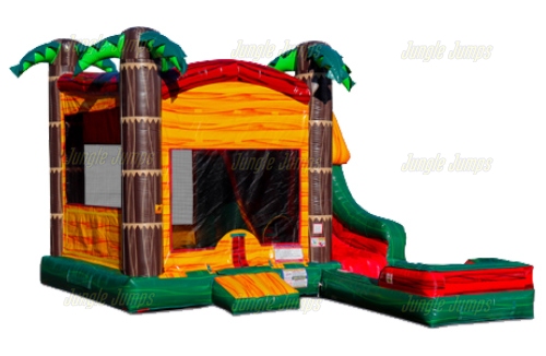 Inflatable Tropical Paradise Slide Combo Wet/Dry CO-1582 image 5