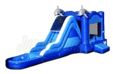 Inflatable Wet/Dry Dolphin Combo CO-1310 image 1